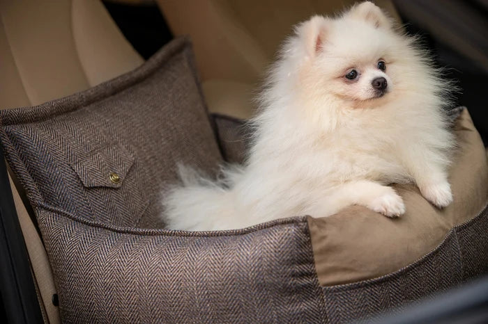 Oh Charlie Dog Car Seat Bed Winston-Dog Car Seat-Oh Charlie- Silver Circle Pets