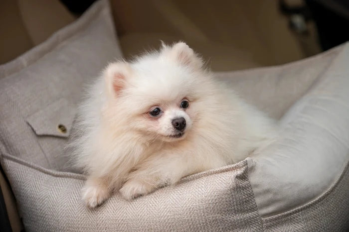 Oh Charlie Dog Car Seat Bed Winston-Dog Car Seat-Oh Charlie- Silver Circle Pets
