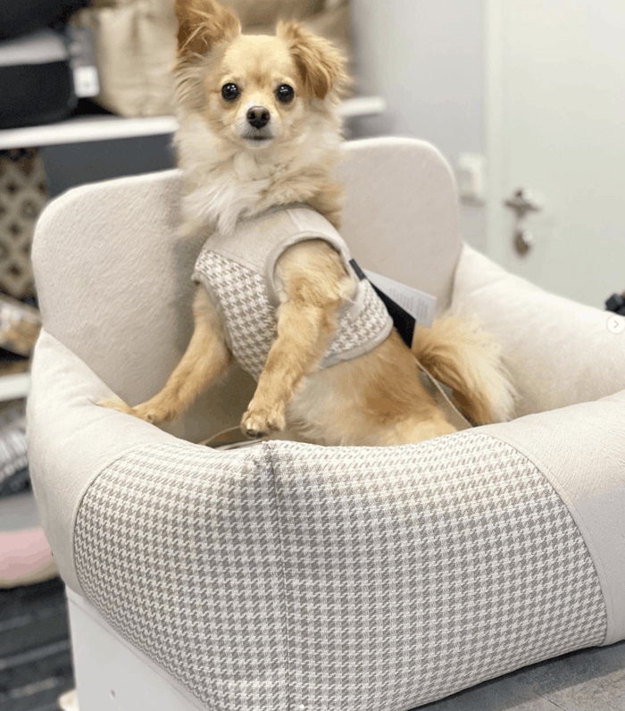 Oh Charlie Dog Car Seat Modern Finessa-Dog Car Seat-Oh Charlie- Silver Circle Pets