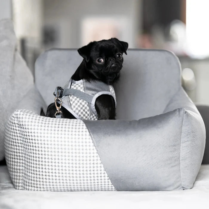 Oh Charlie Dog Car Seat Modern Finessa-Dog Car Seat-Oh Charlie- Silver Circle Pets