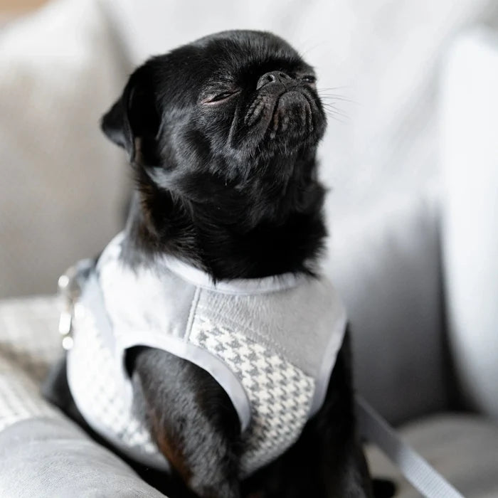 Oh Charlie Dog Car Seat Modern Finessa-Dog Car Seat-Oh Charlie- Silver Circle Pets