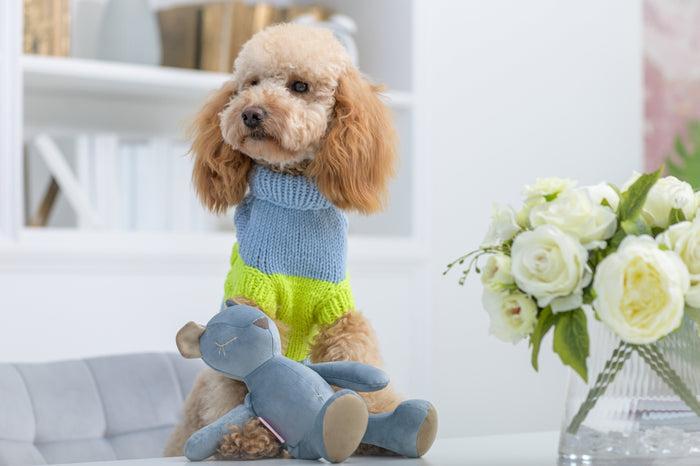 Oh Charlie Dog Sweater NeonRush-Dog Jumper-Oh Charlie- Silver Circle Pets