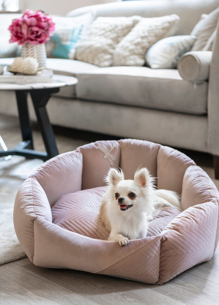 Oh Charlie Round Dog Bed Blissy-Dog Bed-Oh Charlie- Silver Circle Pets