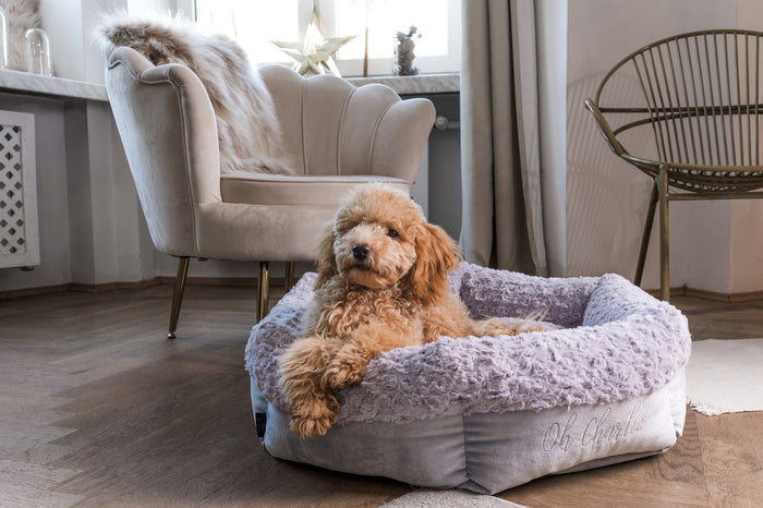 Oh Charlie Round Dog Bed Charlotte-Dog Bed-Oh Charlie- Silver Circle Pets