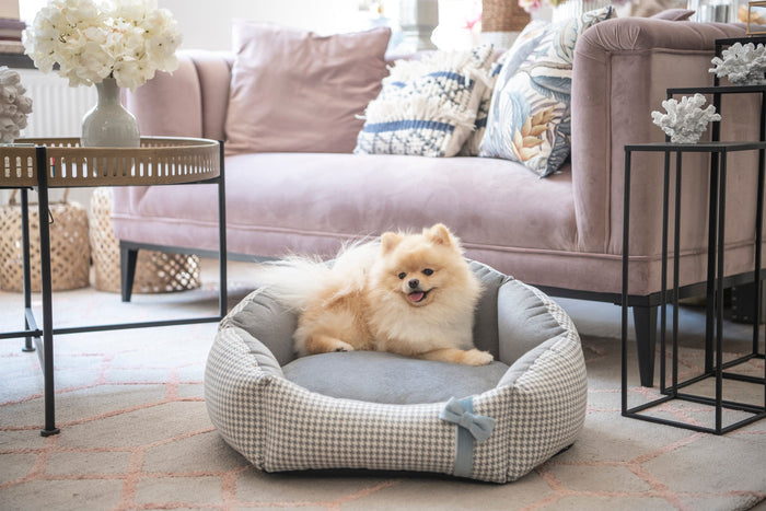 Oh Charlie Round Dog Bed Finessa-Dog Bed-Oh Charlie- Silver Circle Pets