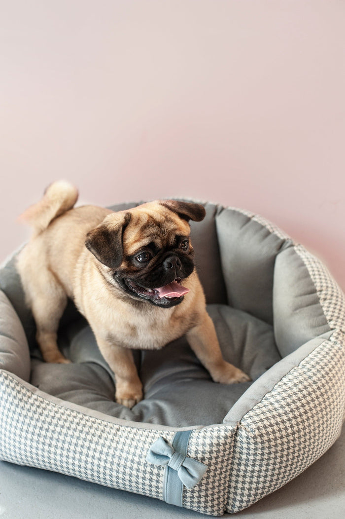Oh Charlie Round Dog Bed Finessa-Dog Bed-Oh Charlie- Silver Circle Pets