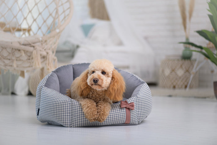 Oh Charlie Round Dog Bed Finessa-Dog Bed-Oh Charlie- Silver Circle Pets