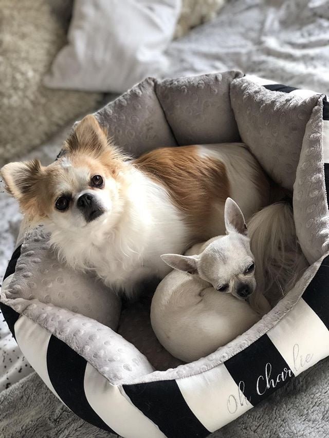 Oh Charlie Round Dog Bed Lisbon-Dog Bed-Oh Charlie- Silver Circle Pets