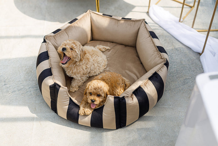 Oh Charlie Round Dog Bed Maison-Dog Bed-Oh Charlie- Silver Circle Pets