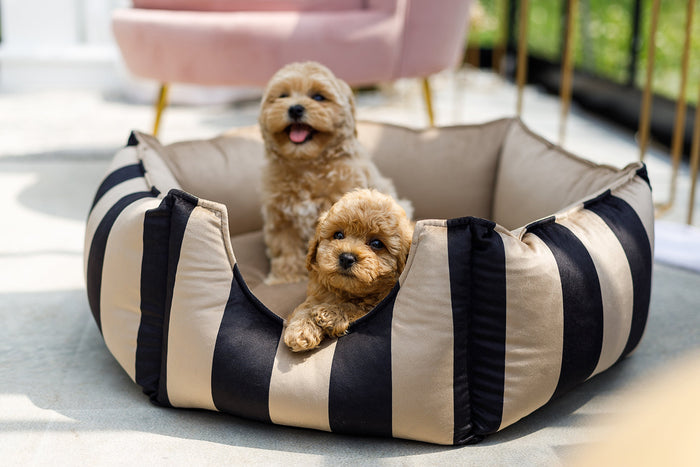 Oh Charlie Round Dog Bed Maison-Dog Bed-Oh Charlie- Silver Circle Pets