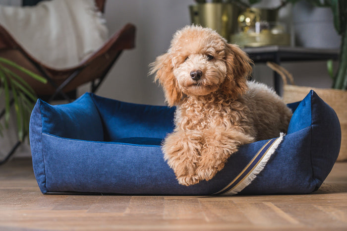 Oh Charlie Square Dog Bed Allure-Dog Bed-Oh Charlie- Silver Circle Pets