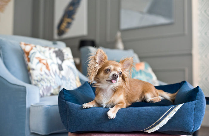 Oh Charlie Square Dog Bed Allure-Dog Bed-Oh Charlie- Silver Circle Pets