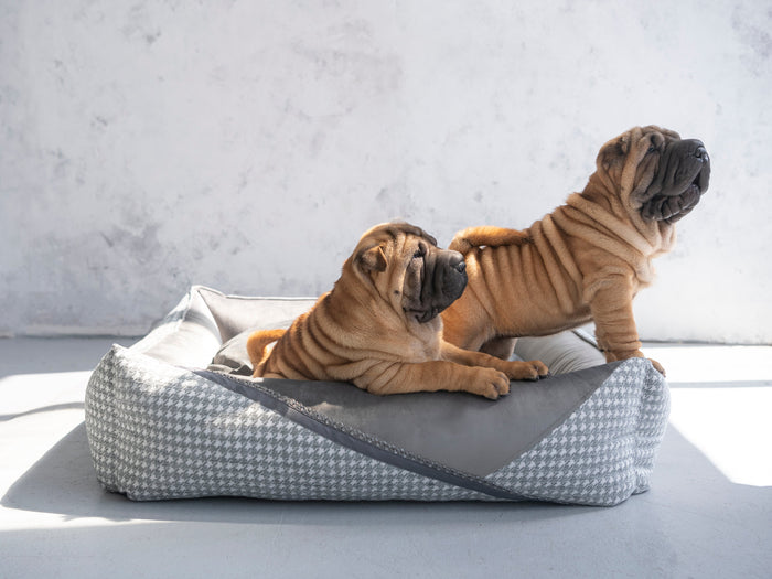 Oh Charlie Square Dog Bed Glamour Deluxe-Dog Bed-Oh Charlie- Silver Circle Pets