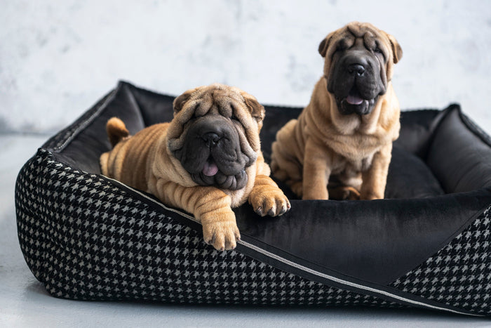 Oh Charlie Square Dog Bed Prestige Deluxe-Dog Bed-Oh Charlie- Silver Circle Pets