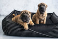 Oh Charlie Square Dog Bed Prestige Deluxe-Dog Bed-Oh Charlie- Silver Circle Pets