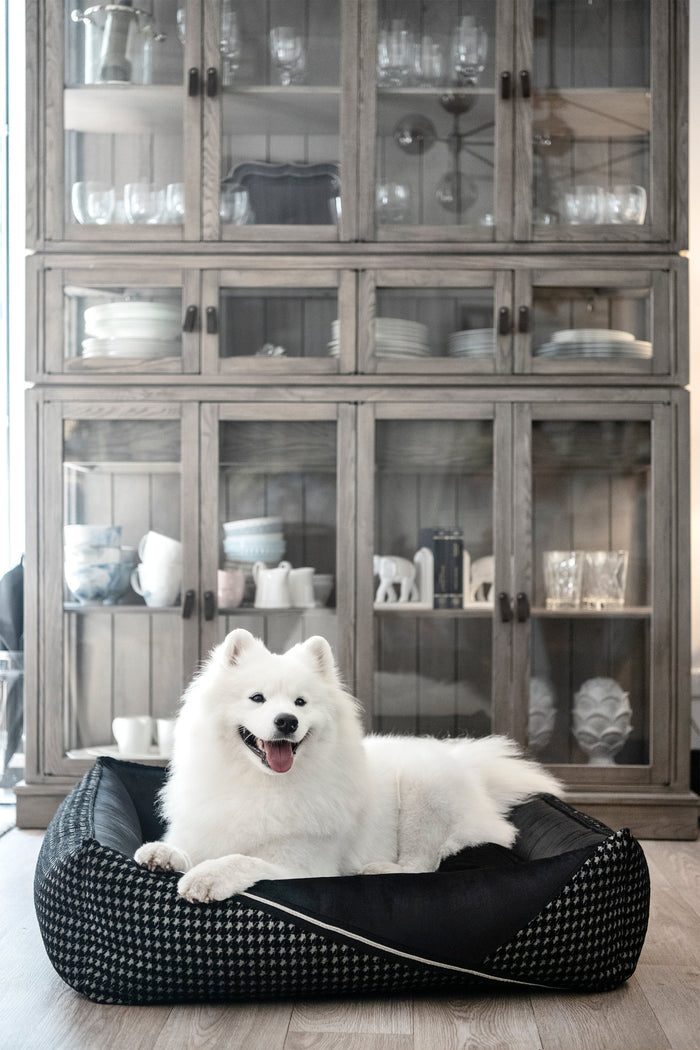 Oh Charlie Square Dog Bed Prestige Deluxe-Dog Bed-Oh Charlie- Silver Circle Pets