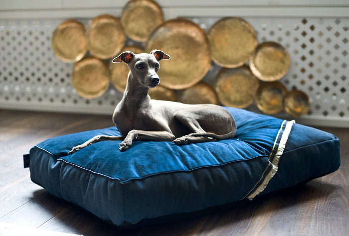 Oh Charlie Square Dog Pillow Allure-Dog Bed-Oh Charlie- Silver Circle Pets