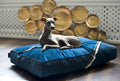 Oh Charlie Square Dog Pillow Allure-Dog Bed-Oh Charlie- Silver Circle Pets