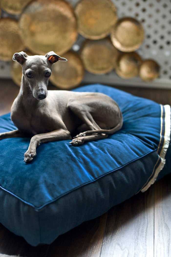 Oh Charlie Square Dog Pillow Allure-Dog Bed-Oh Charlie- Silver Circle Pets