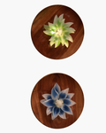 Padma Aura Wall Light - Aartaa decor