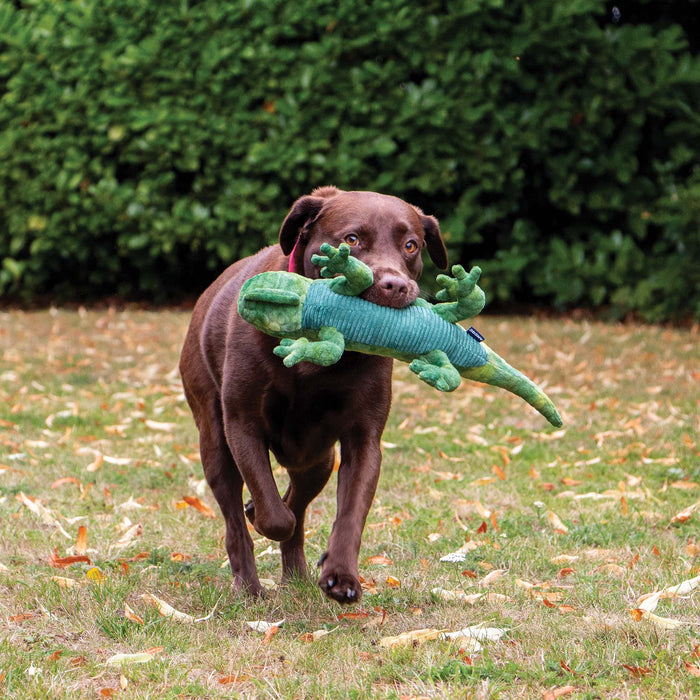 Playtime For Dogs Cuddle lizard - Pilgrim Pet Supplies