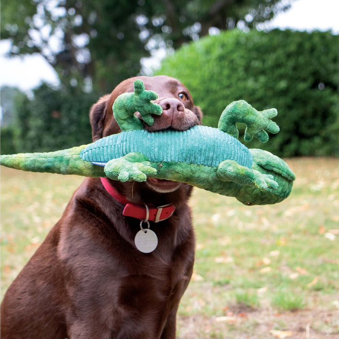 Playtime For Dogs Cuddle lizard - Pilgrim Pet Supplies