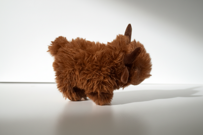 Plush Highland Cow Squeaky Toy for Dogs | Pilgrim Pets - Pilgrim Pet Supplies