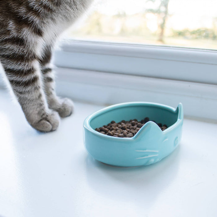 Raised Cat Ear Dish | Whisker - Friendly Ceramic Bowl - Pilgrim Pet Supplies