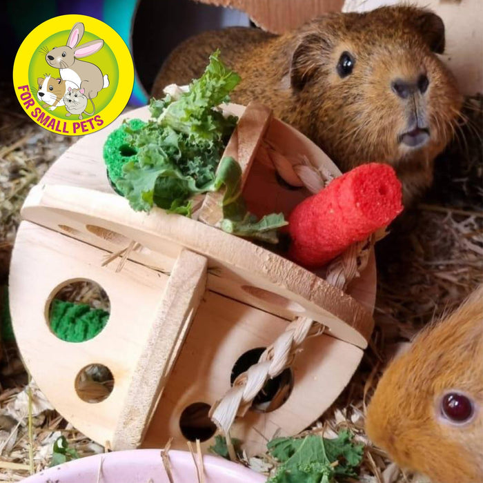 Roll 'N' Chew - Pilgrim Pet Supplies