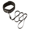 SEI MIO Take the Lead Padded Collar/Leash