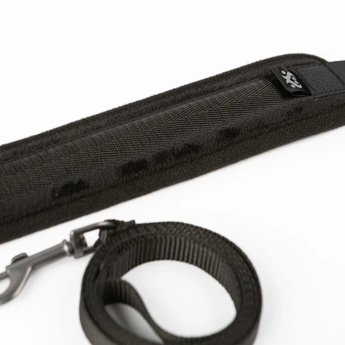 SEI MIO Take the Lead Padded Collar/Leash