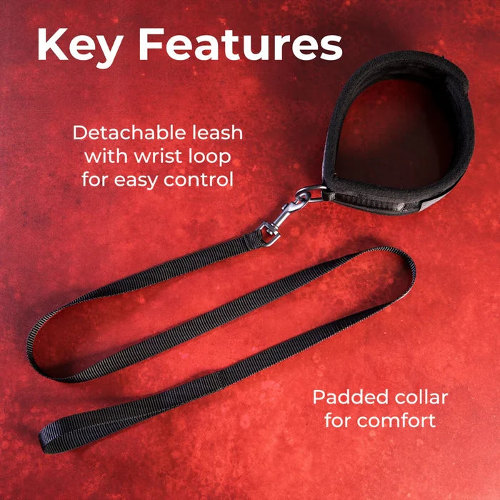SEI MIO Take the Lead Padded Collar/Leash
