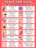 Silver Circle Pets Toxic Foods for Cats Fridge Magnet | Free Delivery-Fridge Magnet-Silver Circle Pets- Silver Circle Pets
