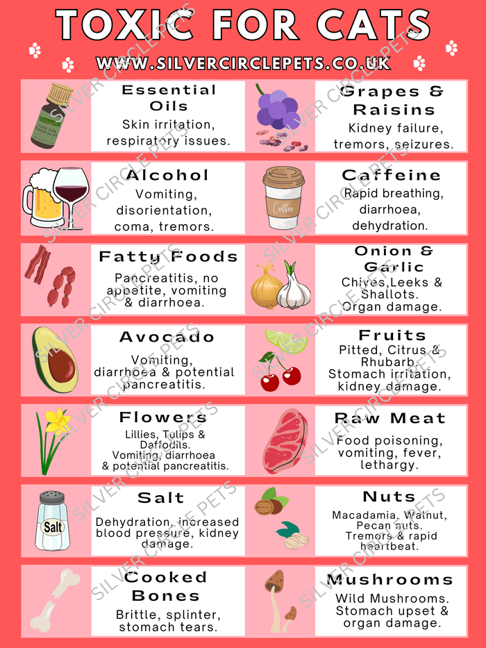 Silver Circle Pets Toxic Foods for Cats Fridge Magnet | Free Delivery-Fridge Magnet-Silver Circle Pets- Silver Circle Pets