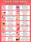 Silver Circle Pets Toxic Foods for Dogs Fridge Magnet | Free Delivery-Fridge Magnet-Silver Circle Pets- Silver Circle Pets