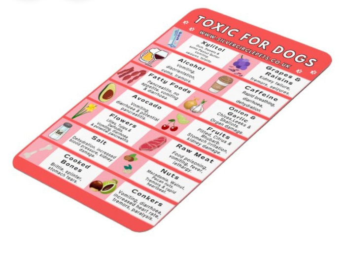 Silver Circle Pets Toxic Foods for Dogs Fridge Magnet | Free Delivery-Fridge Magnet-Silver Circle Pets- Silver Circle Pets