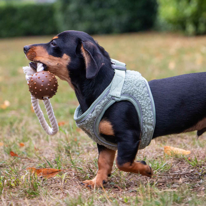 Small Bite Coffee Grounds Ball - Pilgrim Pet Supplies
