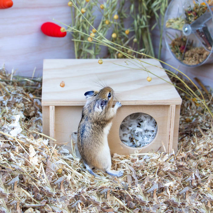 Small Pet Wooden Hide - Pilgrim Pet Supplies