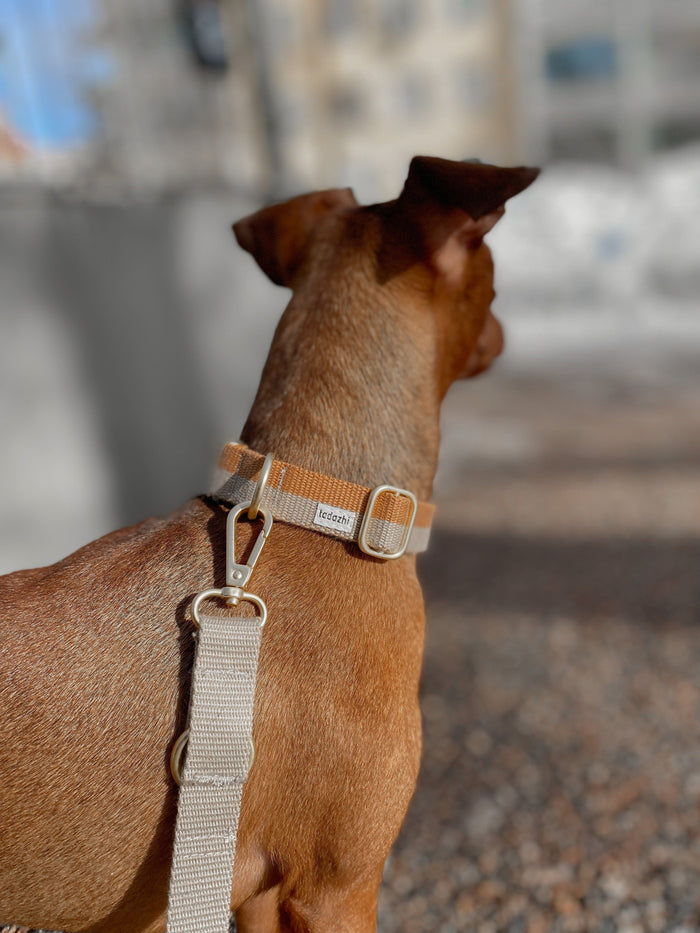 Tadazhi Classic Dog Lead-Dog Leash-tadazhi- Silver Circle Pets