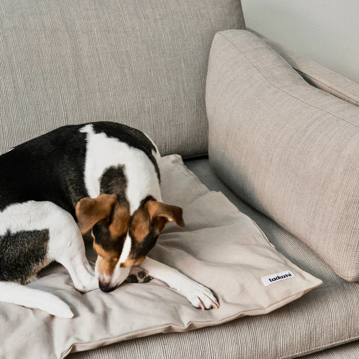Tadazhi Dog Duvet and Matching Bag-Blanket-Tadazhi- Silver Circle Pets