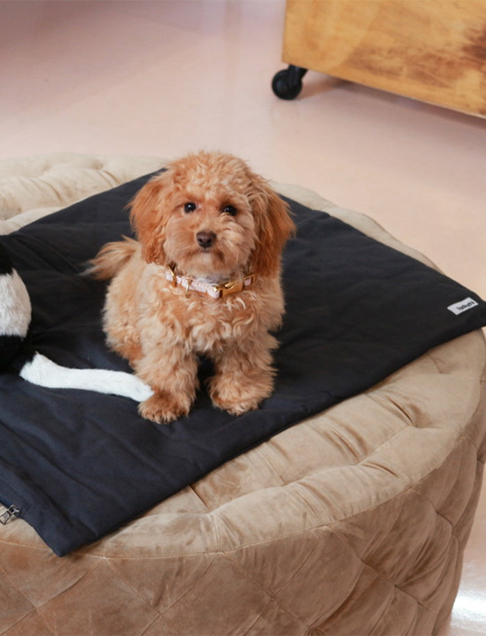Tadazhi Dog Duvet and Matching Bag-Blanket-Tadazhi- Silver Circle Pets