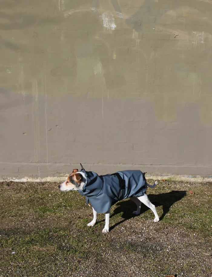 Tadazhi Dog Raincoat-Dog Raincoat-Tadazhi- Silver Circle Pets