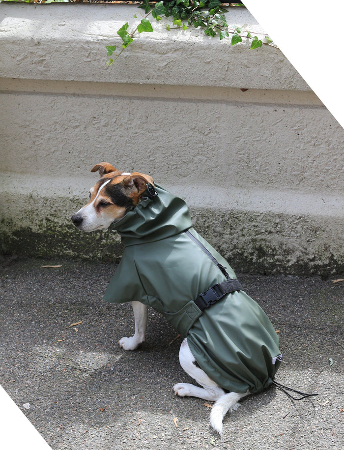 Tadazhi Dog Raincoat-Dog Raincoat-Tadazhi- Silver Circle Pets