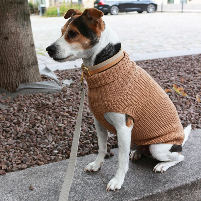 Tadazhi Unisex Wool Dog Sweater-Dog Jumper-tadazhi- Silver Circle Pets